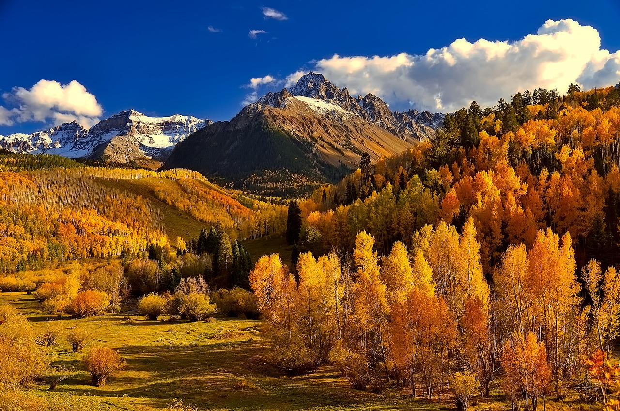 colorado, fall, autumn, colorful, foliage, mountains, landscape, valley, tourism, beautiful, forest, trees, woods, nature, outdoors, country, rural, wilderness, brown forest, brown landscape, brown tree, brown mountain, brown beauty, brown color, colorado, colorado, colorado, colorado, colorado