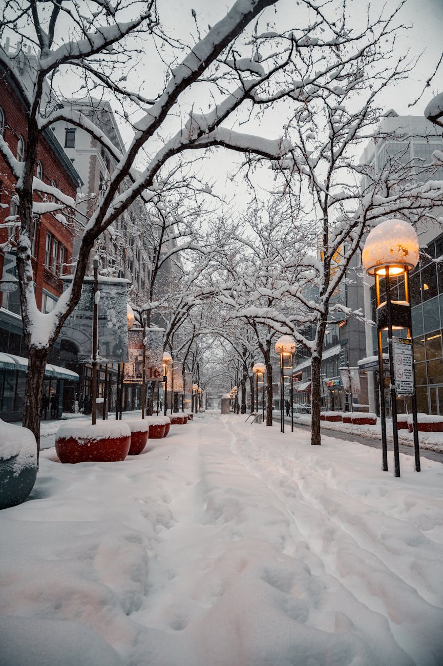 A serene winter street scene in downtown Denver, featuring snow-covered trees and glowing street lights.